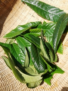 20190530200134208.jpg