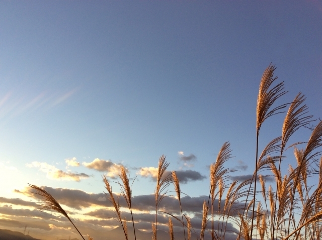 1391012f7b3b181a01f7007fad9c0a88_s.jpg
