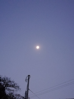 20200114063912625.jpg