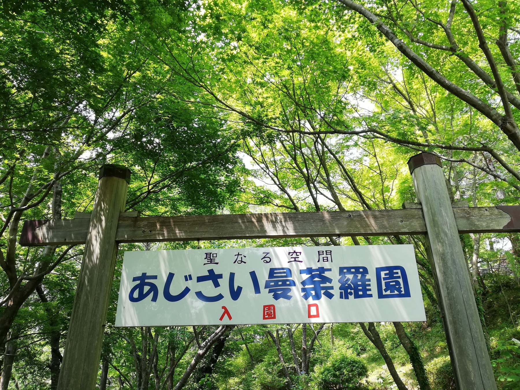 IMG_20190620_133526.jpg